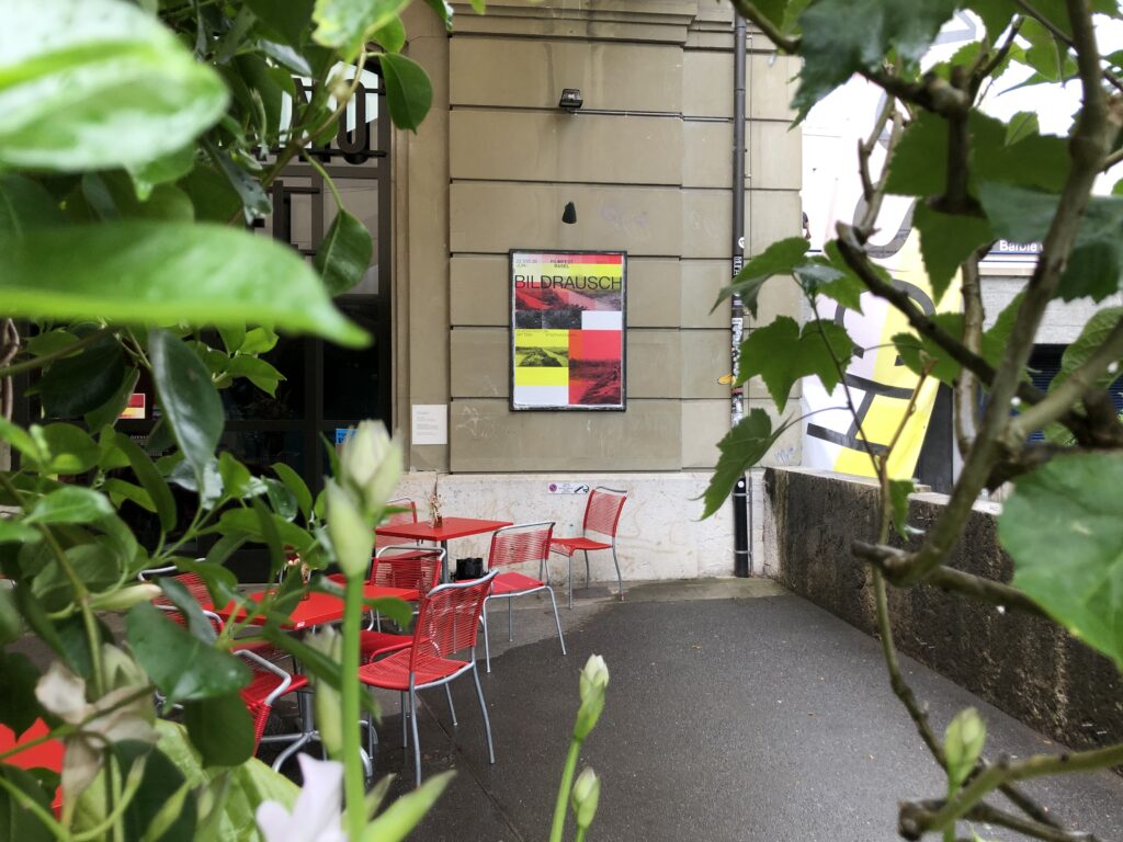 Plakat des Bildrausch Filmfest fotografiert durch ein Gebüsch.